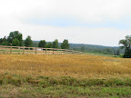  horse fencing