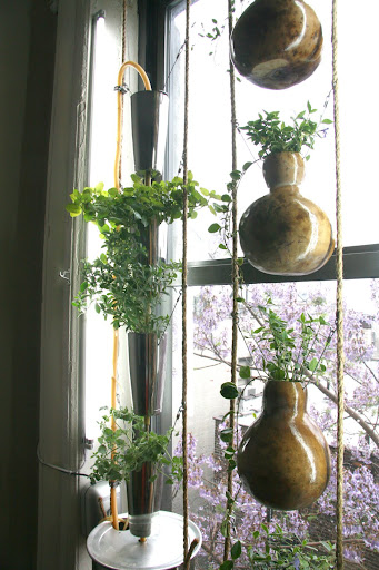 Window Farm (Plastic-Free)