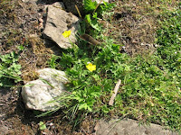 20100522_Heidi_England_1072.JPG Photo