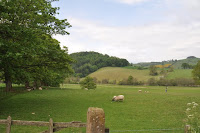 20100526_1947_N_England.JPG Photo
