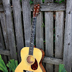 M Model