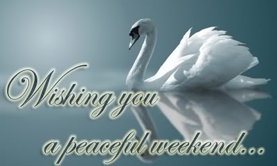 [weekend-peaceful-swan[3].jpg]
