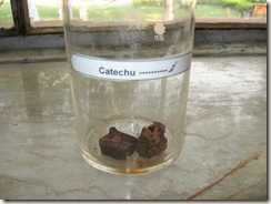 catechu specimen in pharmacology lab