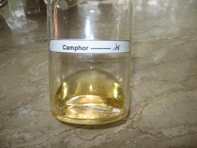 [camphor- pharmacology lab specimen[2].jpg]