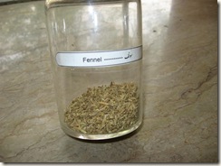 fennel specimen pharmacology lab specimen