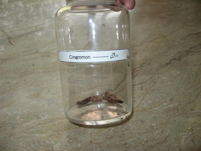 [cinammon - specimen -pharmacology lab specimen[2].jpg]
