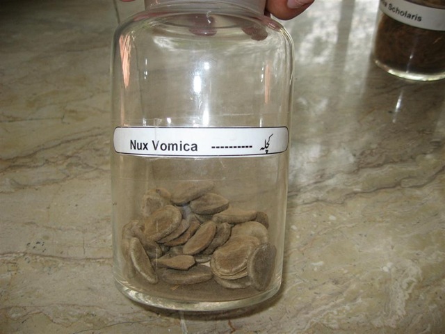 [nux vomica seeds pharmacology specimen[2].jpg]