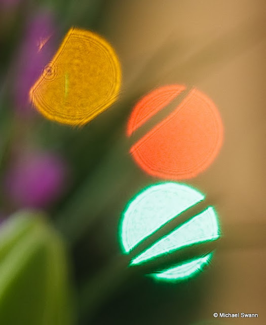 IMAGE: http://lh5.ggpht.com/_zECUfCH73Gc/Sy2AwpFJ3bI/AAAAAAAAAmo/m7gAcoqfoOY/s640/IMG_7535.jpg