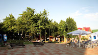 IMG_6833.JPG