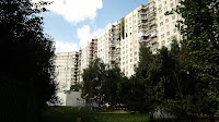 IMG_7250.jpg