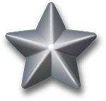 [Silver-service-star-3d[31].png]