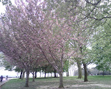 IMG00058.jpg