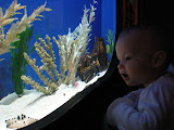 IMG_5056.JPG