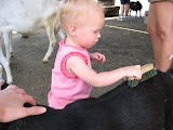 IMG_5602.JPG