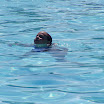 P1010651.JPG