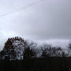 DSC05679.JPG
