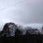 DSC05679.JPG