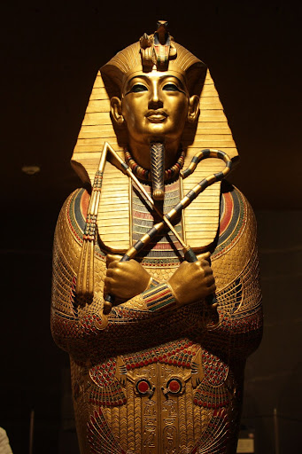 The Mummy Case