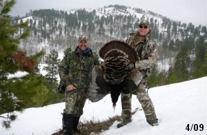 [7J Outfitter Wild Turkey[3].jpg]