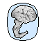[belgianbrain2.png]
