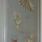 DSCN0124.JPG
