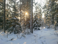 2010-12-28 13.25.46.jpg Photo