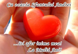 1259431426-felicitari_sf._andrei_9 1259431426-felicitari_sf._andrei_9