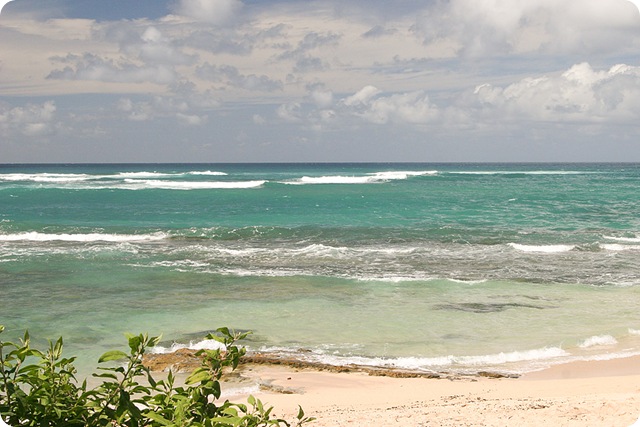 HawaiiBlog008