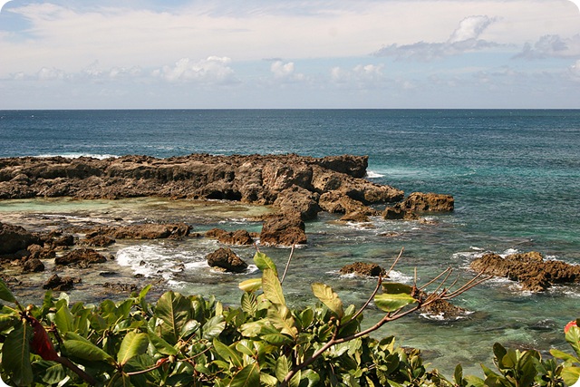 HawaiiBlog010