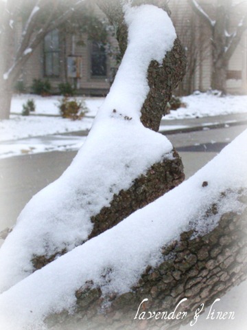 [Dec. 26, 2010 - snow 034[6].jpg]