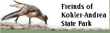 Visit Kohler-Andrea State Park Friends