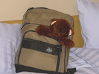 Oso is ready to go!