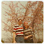 Meg and Allan (aka Mom and Dad)