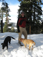Snow dogs