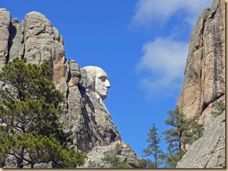 Rushmore Profile View