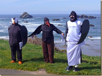 Puffin, Oystercatcher, Murre