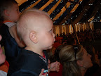 Noah taking it all in