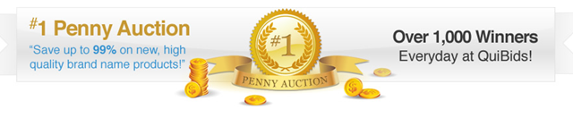 [QuiBids Penny Auction banner[5].png]