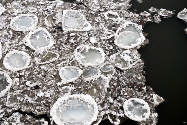 [River Winter1[3].jpg]