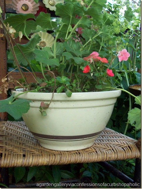 garden gallery 099