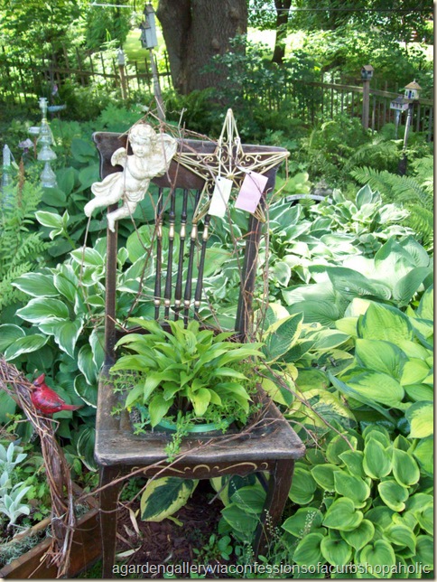 garden gallery 028