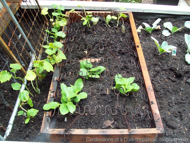 [outdoorkitchen0034.jpg]