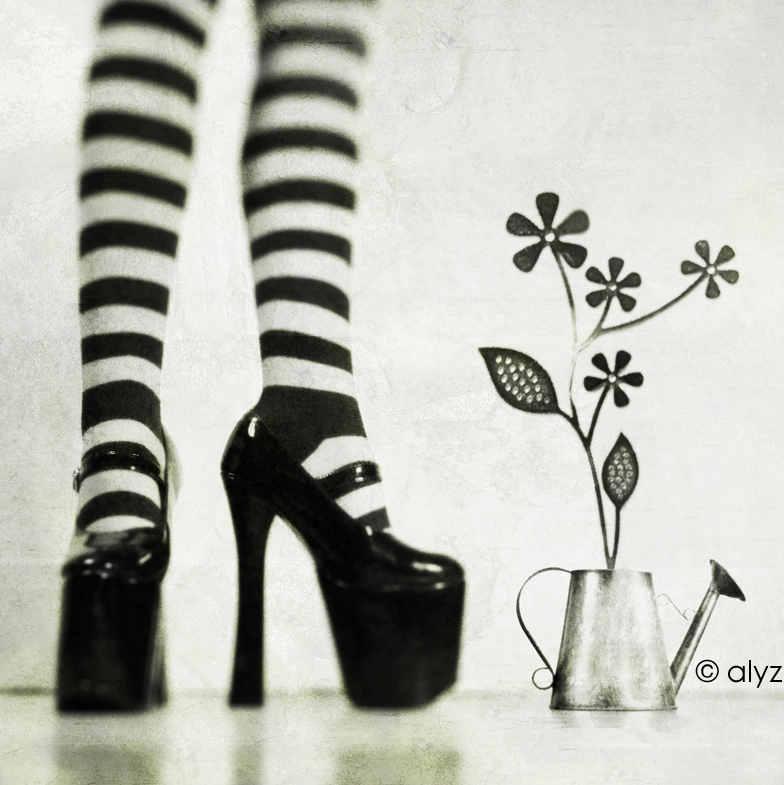 alyz, bw, can, DCAlyz, DeviantArtDCAlyz1117081.jpg, flowers, legs, photo, pot, shoe, streapes, watering, watering can, watering pot