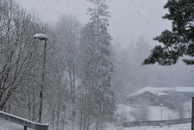 [2010-05-04 Snowing 1[2].jpg]