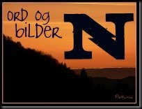 N N
