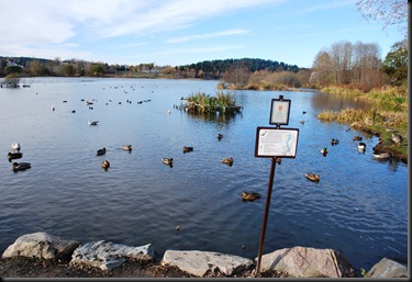 Østensjø naturreservat Østensjø naturreservat