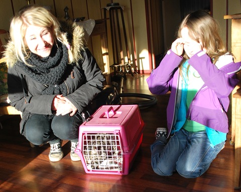 [Lillis in Cage with her new humans 1[5].jpg]