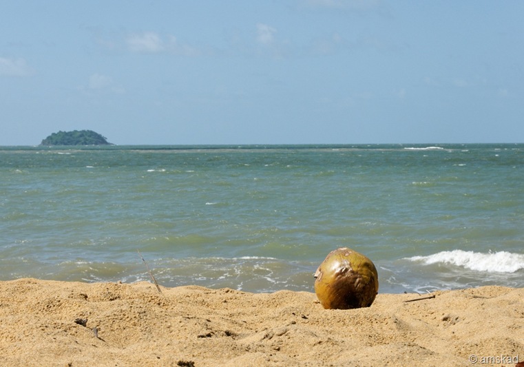 [DSC03024_ka[3].jpg]