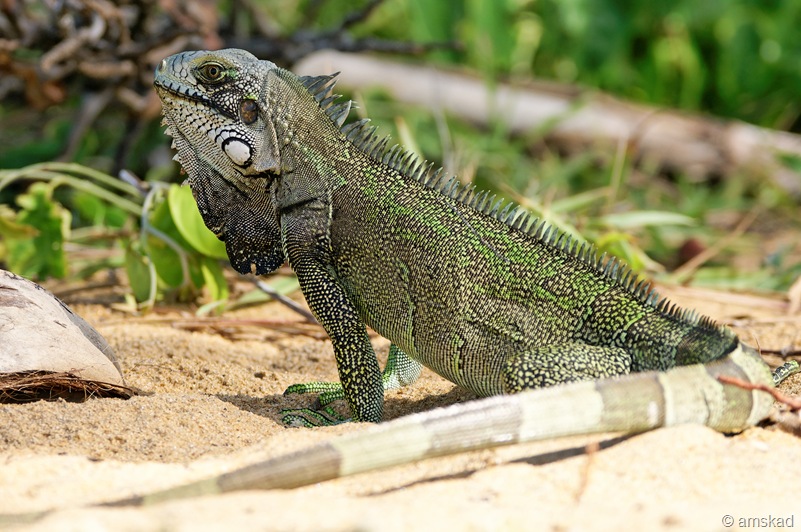 [DSC03068_ka[3].jpg]