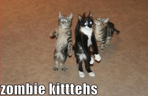 [funny-pictures-these-cats-are-zombies[17].jpg]